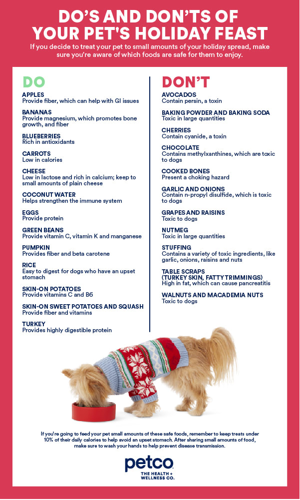 What foods are safe hotsell for dogs